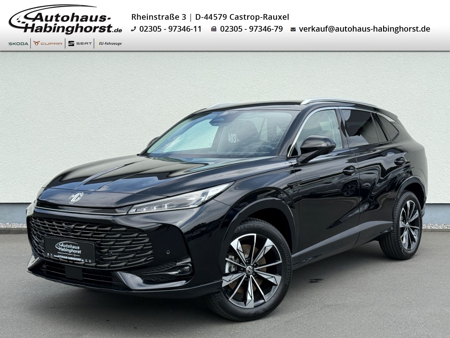 MG HS