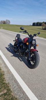 Indian Chief Bobber Dark Horse - Indian Chief Bobber
