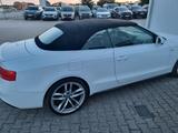 Audi A5 3.0 TDI 180kW S tr. quat. Cabriolet - - Audi A5 mit Diesel-Antrieb: Cabrio, Automatik