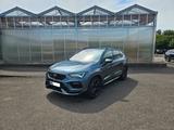 Cupra Ateca 2.0 TSI 221kW 4Drive - Cupra Ateca in Stuttgart