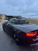 Audi S5 3.0 TFSI S tronic quattro Cabriolet - - Audi S5: Cabrio