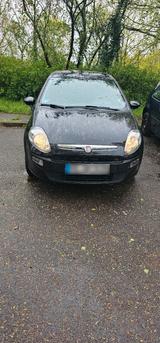 Fiat Punto Evo - gebrauchte Fiat Punto Evo aus dem Jahr 2009