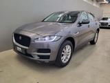 Jaguar F-Pace 20d AWD Pure *Leder| Navi| Pano* - Jaguar F-Pace: Pure