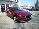 Mazda CX-30 2.5L e-SKYACTIV G 140 6AT FWD Takumi BLOP - Mazda CX-30 in Dresden