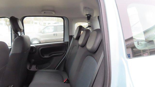 Fiat Panda City Cross Plus 1,0 70 PS Mildhybrid