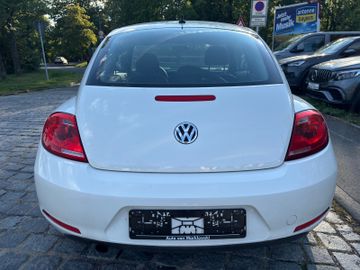 Volkswagen Beetle - 6