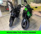 Kawasaki Z900 Modell 2026 in allen Farben bei uns im