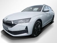 Skoda Octavia - Vorschau Bild 9