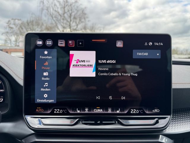 Formentor 2.0 TDI AHK Edge TopView Intelligent W