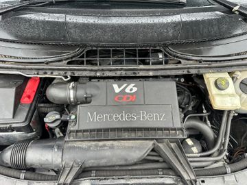 Mercedes Viano - 12