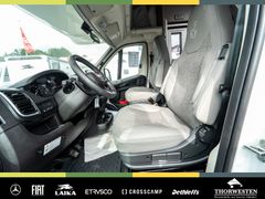 Autohaus Thorwesten Gebrauchtwagen