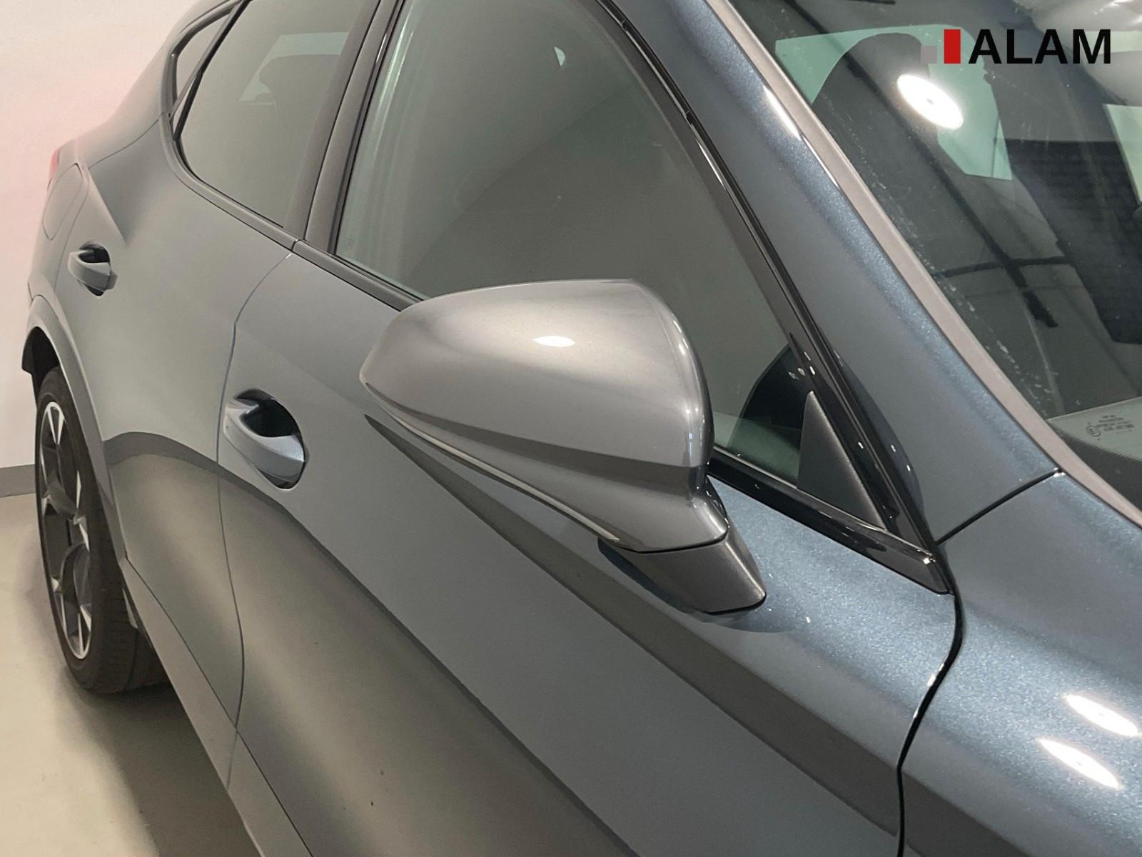 Cupra Formentor VZ 4Drive ACC Beats Matrix LED RFK, миниатюра 8