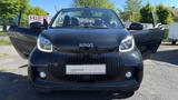 Smart fortwo cabrio / Leder / Klima / Elektro / - gebrauchte Smart ForTwo aus dem Jahr 2023