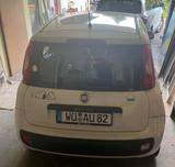 Fiat New Panda 1.2 8V EASY EASY - weiße Fiat New Panda