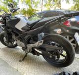 Suzuki Gladius SFV650A mit ganz viel Extra  - SUZUKI GLADIUS SFV 650