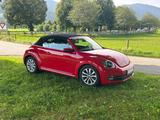 Volkswagen Beetle 1.2 TSI 50's BMT Cabriolet 50's BlueM... - Volkswagen Beetle: Rot, Cabrio