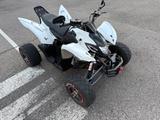 Aeon Motor Cobra 400 / 16.000 km / Automatik - AEON COBRA
