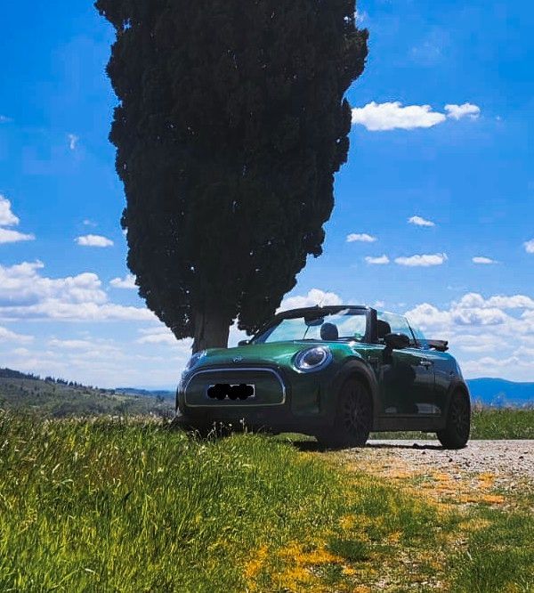 Image of MINI Cooper Cabrio