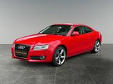 Audi A5 Coupe 3.0 TDI Quattro-Navi-PDC-8Fach Bereift