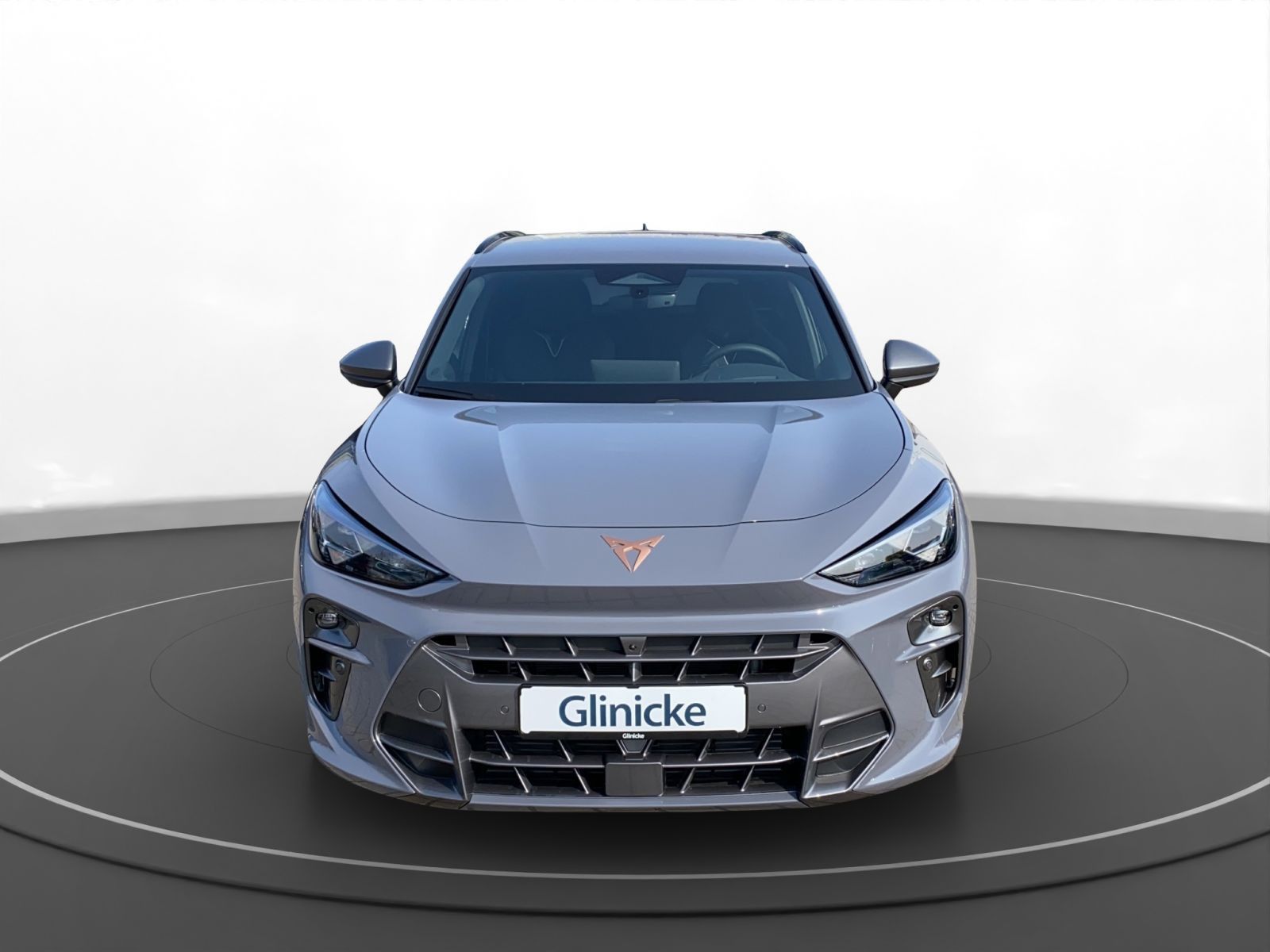 Cupra Terramar - Bild 4