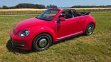 Volkswagen VW Beetle Cabrio EURO 6 Diesel - top gepflegt! - Volkswagen New Beetle mit Diesel-Antrieb: Cabrio