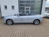 Audi A5 Cabriolet 2.0 TFSI quattro/Navi/Automatik/SHZ - Audi A5 mit Benzin-Antrieb: Leder, Navigationssystem, Cabrio, 2.0