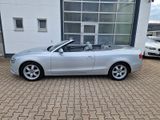 Audi A5 Cabriolet 2.0 TFSI quattro/Navi/Automatik/SHZ - : Cabrio, Auto