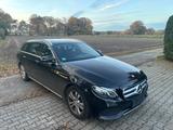 Mercedes-Benz E 220d T AVANT. W213 Hyperscreen - Mercedes-Benz E-Klasse: W213