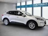 Ford Kuga Titanium 2.0 EcoBlue Automatik Parkassisten - Ford Kuga: Automat