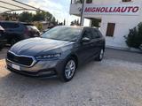 Skoda SKODA Octavia 2.0 TDI EVO SCR 150 CV DSG Wagon E - Skoda Octavia mit Halbautomatikschaltung