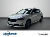 Skoda Fabia Tour 1,0 TSI 70 kW 5-Gang-Schaltgetriebe - Skoda Fabia Gebrauchtwagen in Ludwigshafen