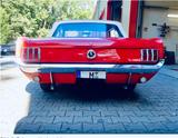 Ford Mustang Convertible 289 V8 1964/65 TÜV + Service - Ford Mustang: 65