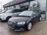 Audi A3 Cabriolet S line Sportpaket / plus - Audi A3 aus 2010: Line