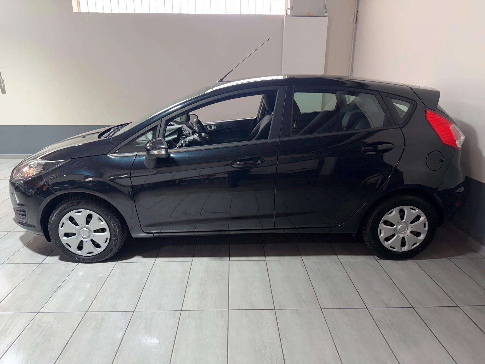 Ford Fiesta Edition Winterpaket USB PDC
