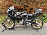 Gilera Saturno Bialbero 500 Anniversary - GILERA SATURNO