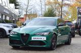 Alfa Romeo Giulia Quadrifoglio 520PS/Tech-P/LAST BATCH - Alfa Romeo Giulia B-Tech