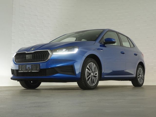 Fabia TOUR TSI+LED LICHT+PARKPILOT VO+HI+SITZHEI