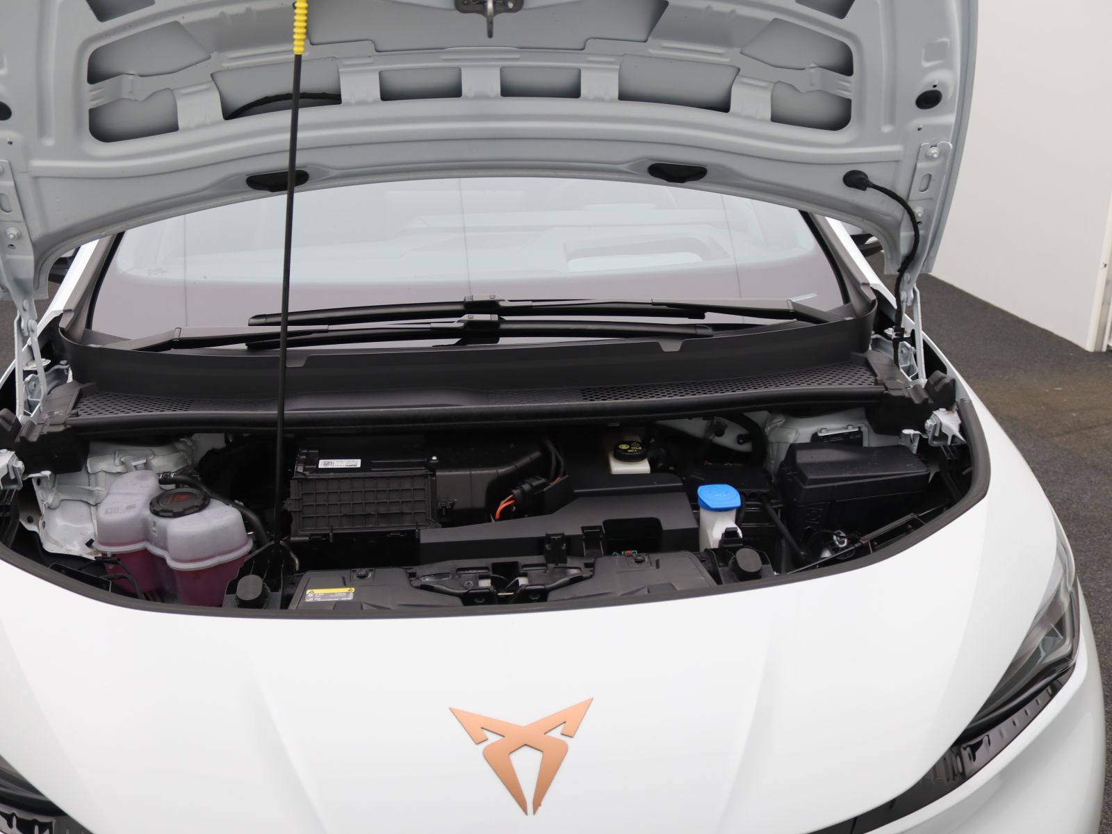 Cupra Born - Bild 19