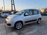 Fiat Panda Lounge Sportsitze Sport Lenkrad - Fiat Panda: Sport