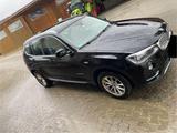 BMW X3 xDrive20d xLine AT xLine - BMW X3 von privat