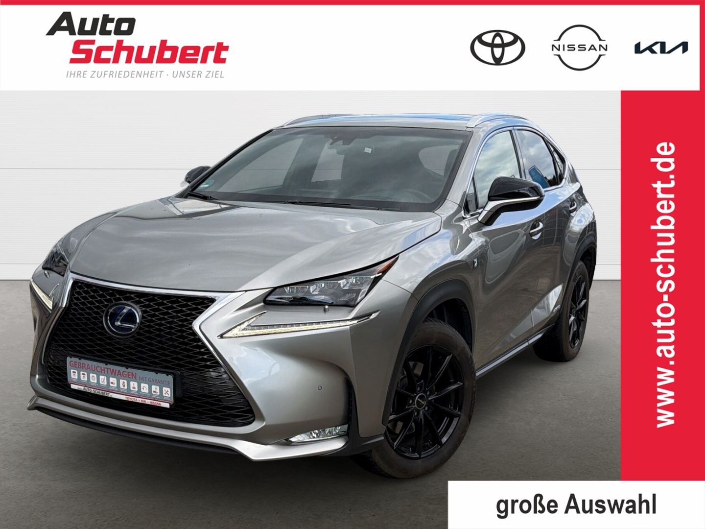 LEXUS NX 300