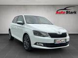 Skoda Fabia 1,2 TSI 90 PS Edition°LED°SHZ°Tempomat°DAB - Skoda Fabia Edition mit Benzin-Antrieb