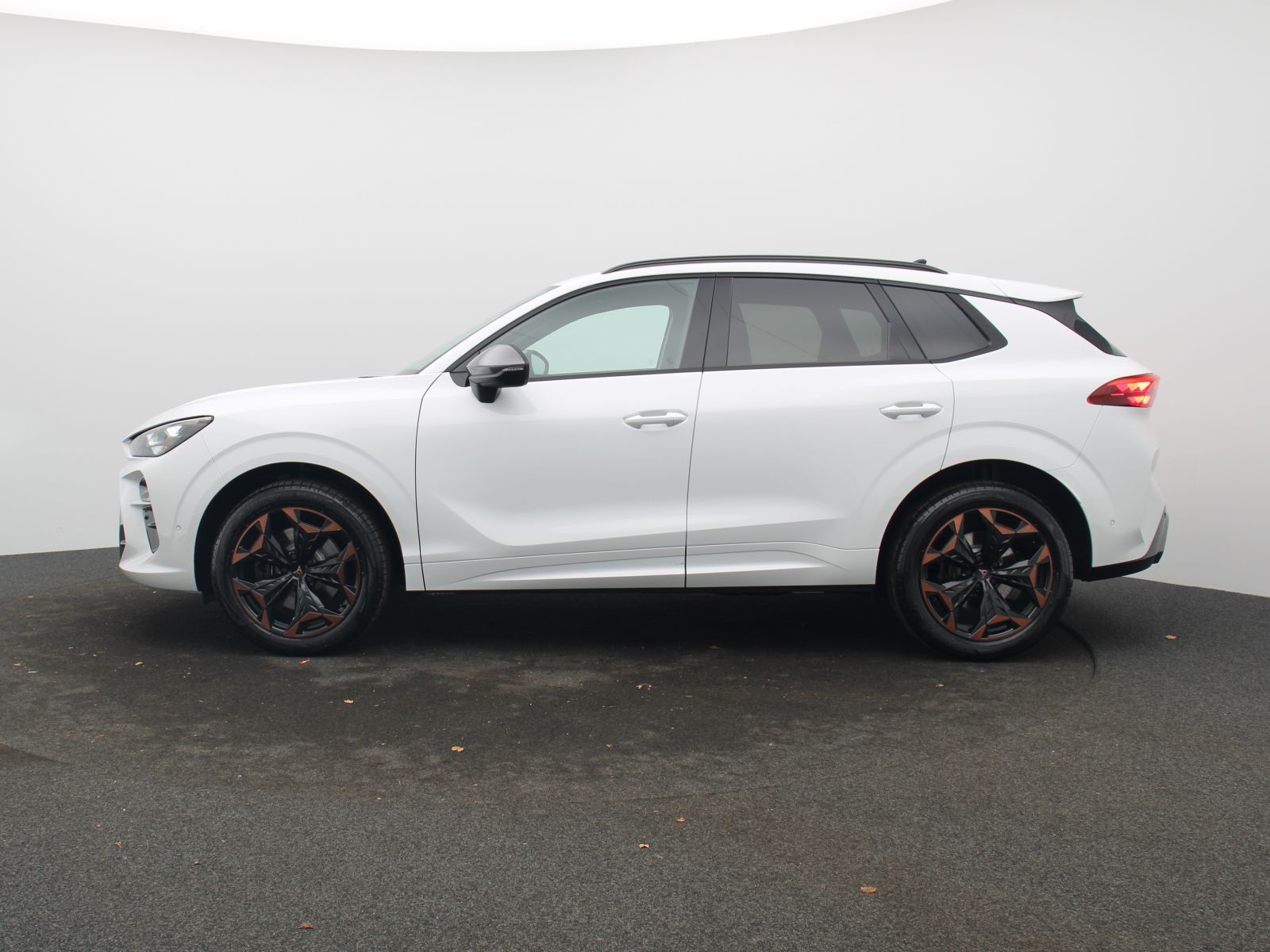 Cupra Terramar - Bild 3