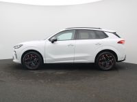 Cupra Terramar - Vorschau Bild 3