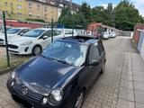Volkswagen Lupo 1.4 44kW Comfortline TÜV BIS 07.27 WIE NEU - Volkswagen Lupo Comfortline mit Benzin-Antrieb