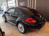 Volkswagen Beetle Fender 2.5l Leder, Pano - Volkswagen Beetle: Sportwagen