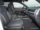 Kia Sorento PE 2.2D AWD PLATINUM NAPPA GLASDACH UVM. - Kia Sorento Vorführfahrzeuge