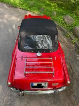 Triumph TR250 - Triumph TR5 von privat