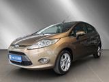 Ford Fiesta 1.25 Titanium *SHZ*PDC* - Ford Fiesta: Braun