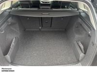 Skoda Enyaq - Vorschau Bild 8